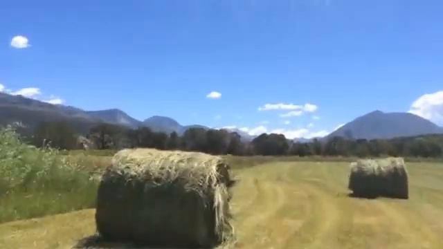 Have you been to Cottonwood Ranch And Kennel? смотреть онлайн