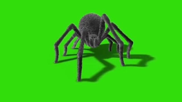 Green Screen Arachnid Black Widow Spider Invasion - Footage PixelBoom смотреть онлайн