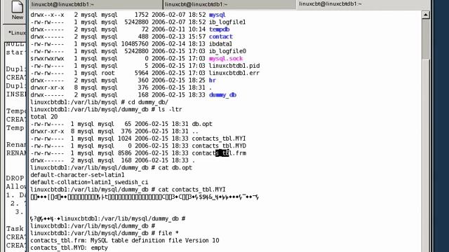 27 Mysql Database DDL DROP 1 смотреть онлайн