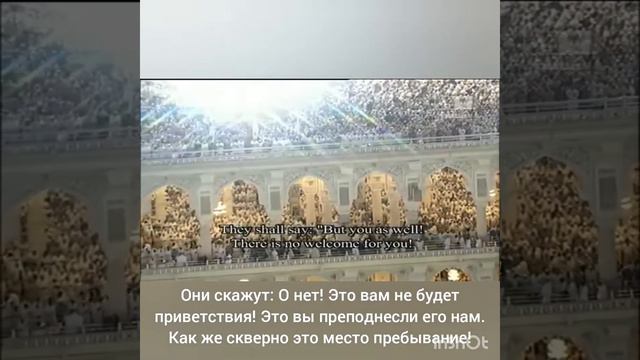 Шейх Махир аль Муайкли. смотреть онлайн
