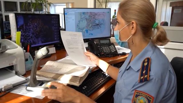 94 тысячи обращений поступило на канал "102" с начала года смотреть онлайн