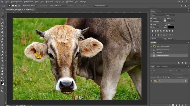 Как убрать лишний объект в фотошопе смотреть онлайн