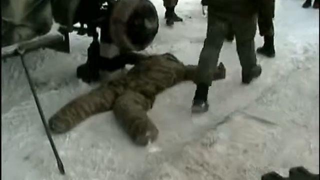 милитари юмор смотреть онлайн