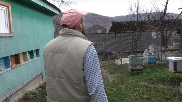 Контрольный улей спустя 2 месяца 21.11.2019 смотреть онлайн