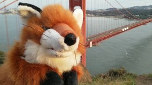 Выпуск 2: Мост Золотые Ворота.