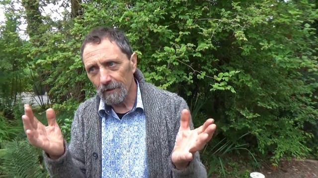 Why Do Hydrangeas Change Colour? (Hint- the answer is in the soil!) смотреть онлайн