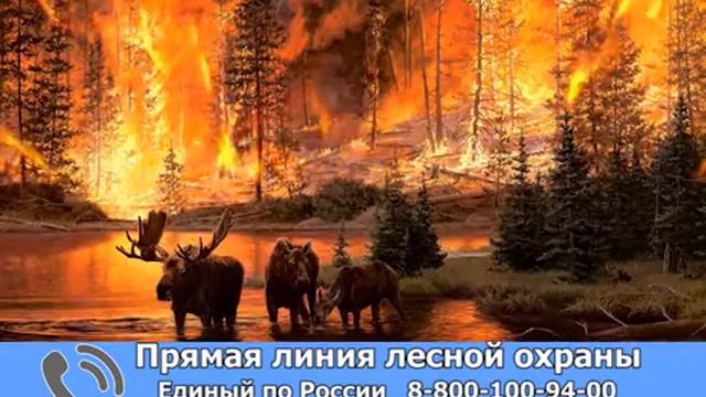 Социальный видеоролик Министерства лесного и природопользования Пензенской области смотреть онлайн