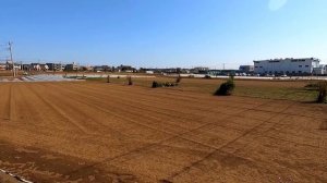 Огороды в Японии. Как японцы выращивают овощи.