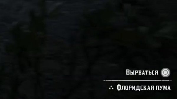 КАК ПОЛУЧИТЬ СУМКУ ЛЕГЕНДА ВОСТОКА В RED DEAD REDEMPTION 2