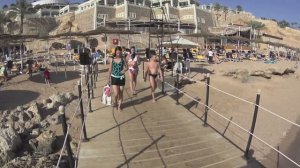 SENTIDO REEF OASIS SENSES RESORT 5*. 2021. ЕГИПЕТ. ШАРМ-ЭЛЬ-ШЕЙХ.