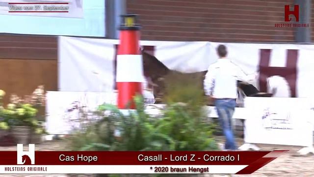 Katalog Nr. 6 - CAS HOPE смотреть онлайн