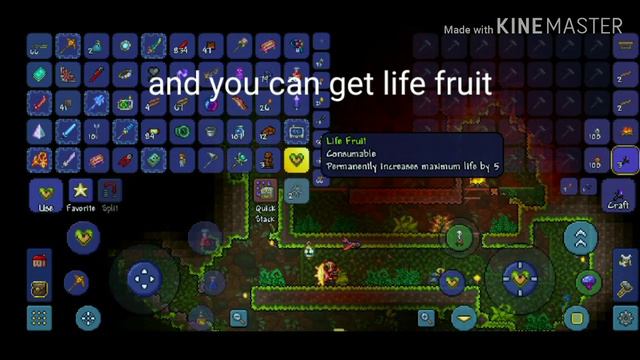 How to get life fruit + farm in Terraria Mobile 1.3 смотреть онлайн