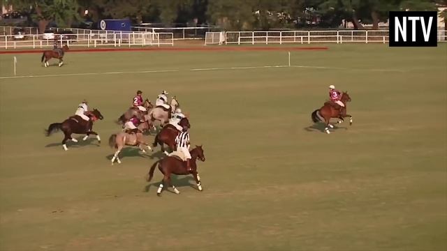 The Rules of Pato (Horseball) - EXPLAINED! смотреть онлайн