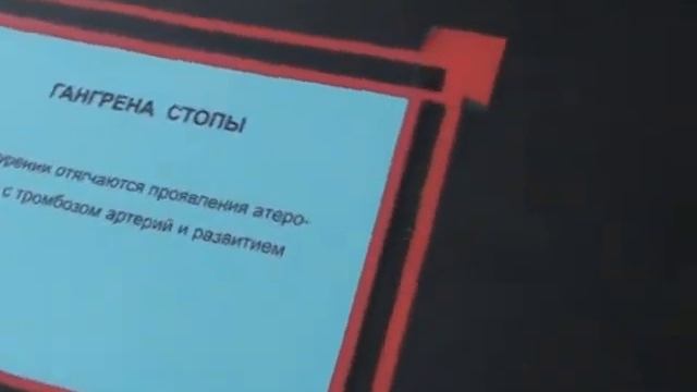 Школа № 15 - Музей кунсткамеры (1) смотреть онлайн