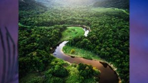 §36 "Геологическое строение и рельеф Южной Америки", География 7 класс ч.2, Домогацких