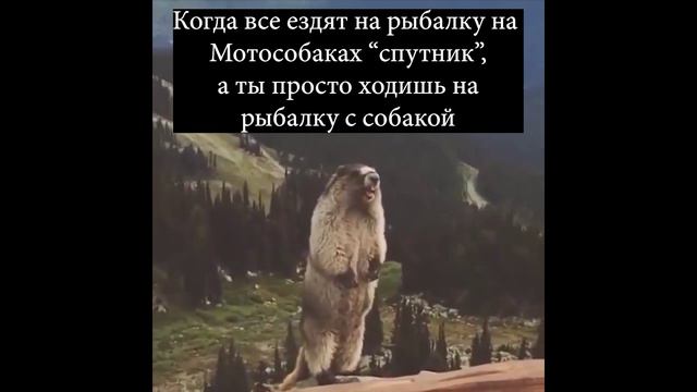 Не будь сусликом смотреть онлайн
