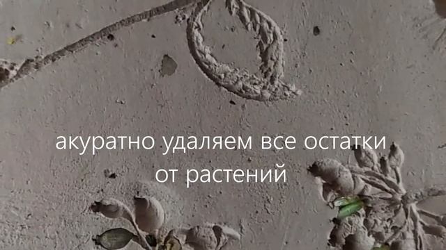 Ботанический барельеф из гипса своими руками смотреть онлайн