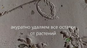 Ботанический барельеф из гипса своими руками