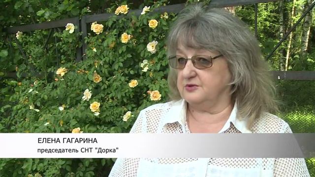 Садовый кооператив смотреть онлайн