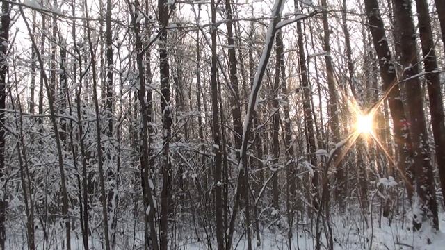 Охота на рябчика зимой. Декабрь 2020. смотреть онлайн