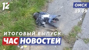 Мертвые голуби / Спальные мешки на СВО / Нелегальные беспилотники. Новости Омска