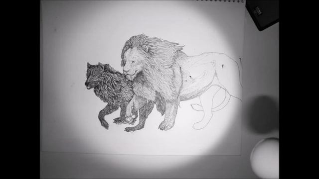 Ink Drawing Timelapse - Fine Fur Detail смотреть онлайн