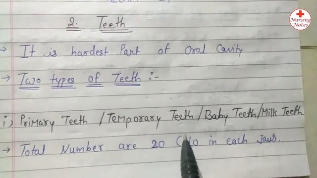 Digestive System Anatomy And Physiology || Digestive System Anatomy and Physiology For Nursing смотреть онлайн