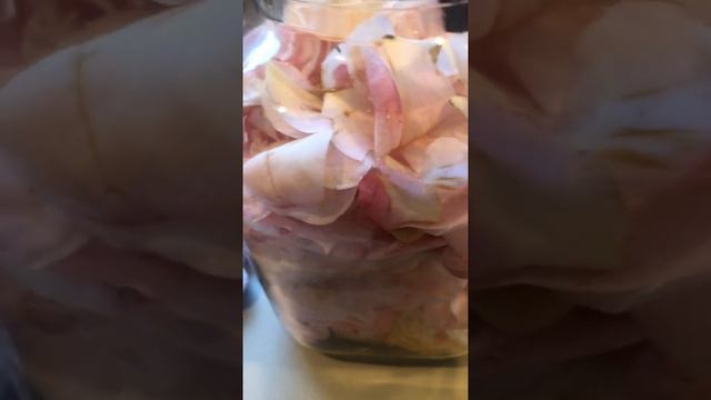 Camellia Skincare Infusion смотреть онлайн