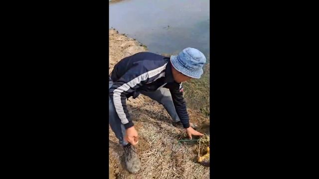 РЫБАЛКА НА КАНАЛЕ И НА РЕКЕ.17.10.2022. БЕЩЕННЫЙ КЛЁВ САЗАНА #рыбалка в Узбекистане #Baliqovi2022 смотреть онлайн