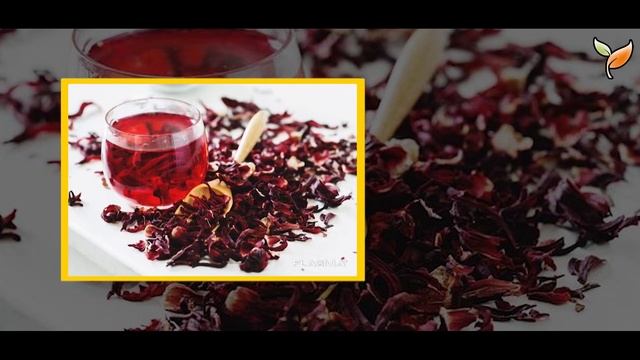 Пила ЧАШКУ КАРКАДЕ каждый день и вот что случилось с моим телом... смотреть онлайн