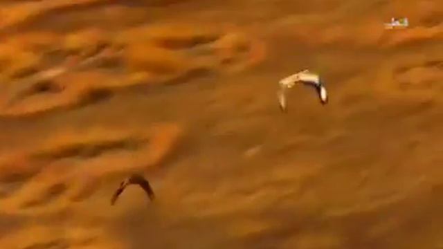 Балобан берёт Джека дрова красотка смотреть онлайн