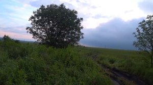 РЫБАЛКА НА САЗАНА !!! РАЗДАЧА НА АКСАЕ !!!!!