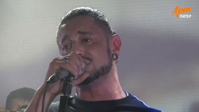 Дима Корсо   Дельфины