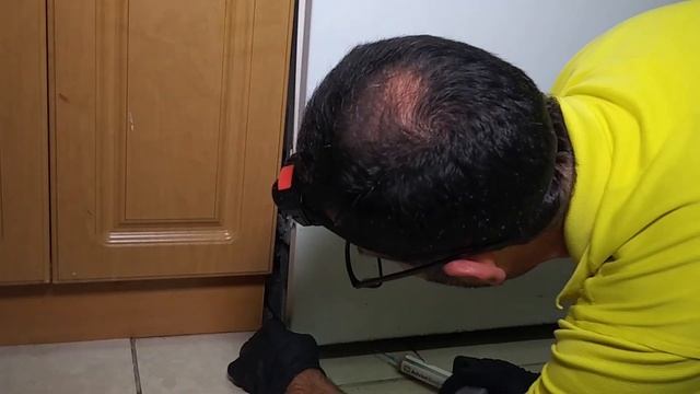 How To Get of Roaches | Eco-Friendly Cockroach Control Miami смотреть онлайн