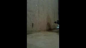 Как сверлить бетонную стену перфоратором?