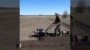 Культивация огорода мотоблоком!Фрезерование мотоблоком Хётер 7,5!!