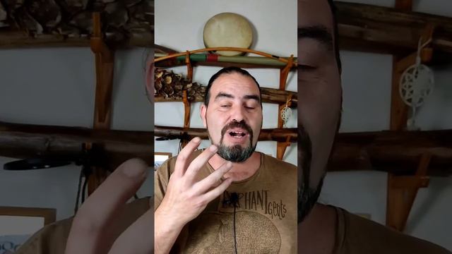 El arpa de boca, Dan Moni de Vietnam. смотреть онлайн