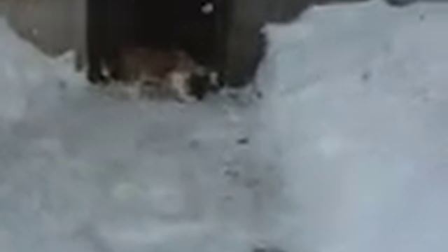 MVI 1332 смотреть онлайн