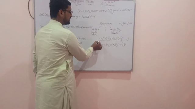 Present continuous Tense-Negative Sentences смотреть онлайн
