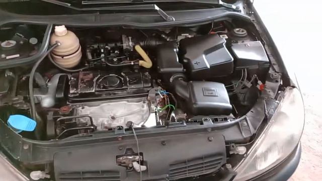 Localização Do Número Do Chassi E Motor Peugeot 206 Soleil 1999/1999
