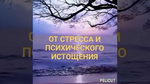 ?Целительная мощная матрица Гаряева от стресса ,истощения нервной системы , для взрослых и детей.