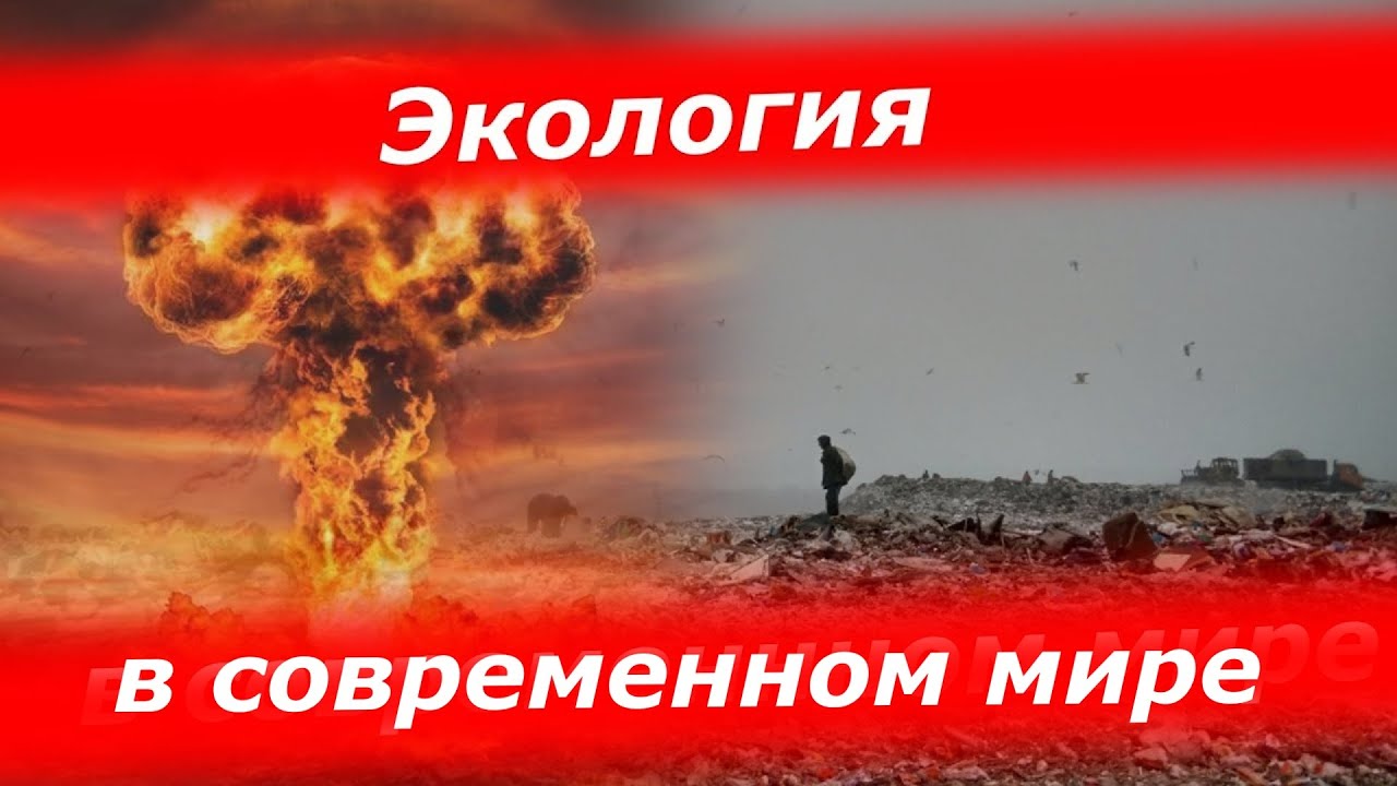 Экология в современном мире.
