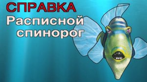 Пираньи и Ко (ДеАгостини, 2018) - распаковка, видео-обзор от Зверушки на Опушке. 21 игрушка