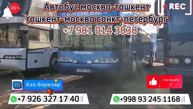 #Автобус# ташкент-москва санкт-петербург санкт-петербург-москва Ташкент автобус #2023,09 28#сентябр