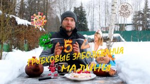 Эти 5 ГРИБКОВЫХ болезней всегда рядом с МАЛИНОЙ! Предупреждён, значит вооружён! ЧАСТЬ 2