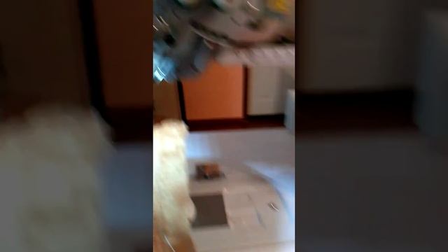 Juki plc-2765 doble needle walking foot machine смотреть онлайн