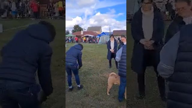 ПФ Диор. выставка Беларусь смотреть онлайн