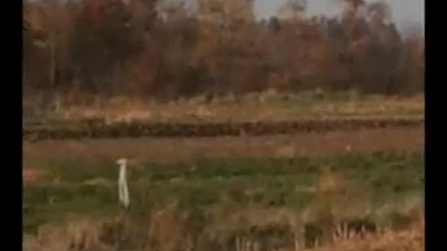 Glasgow Love Theme Craig Armstrong