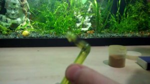 Лайфхак для аквариума