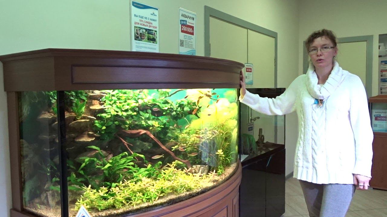 Аквариум "Аква Лого" с оформлением за полцены! смотреть онлайн